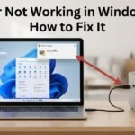 Printer Not Working in Windows 11? How to Fix It