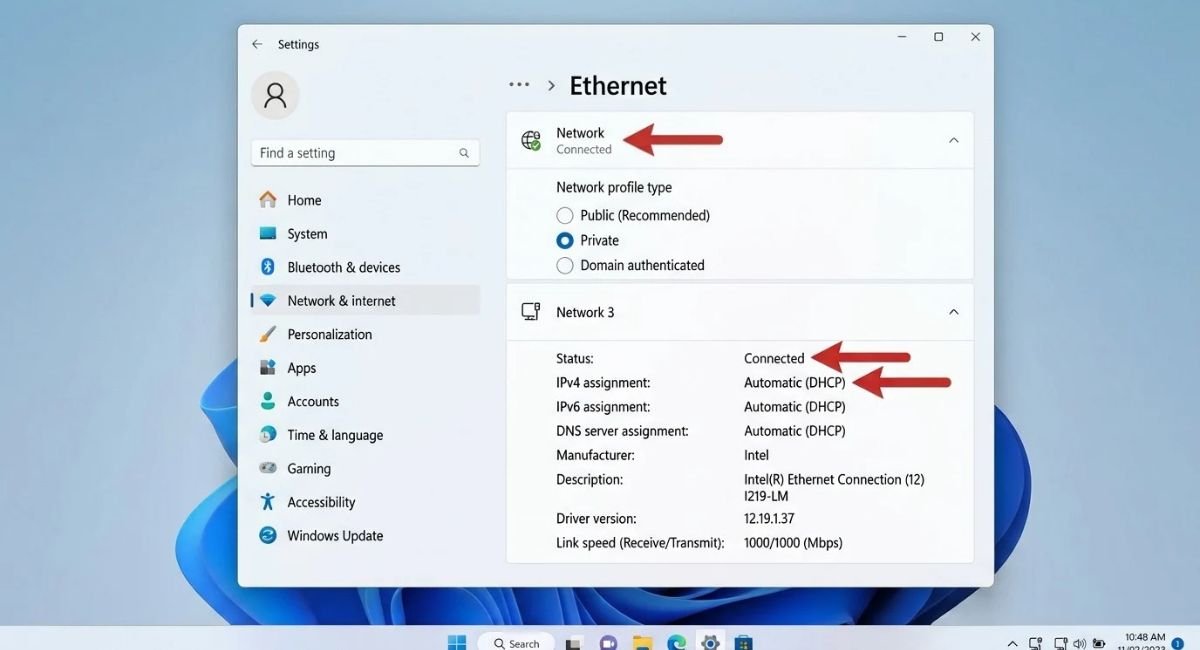 Windows 11 Ethernet Connection Settings